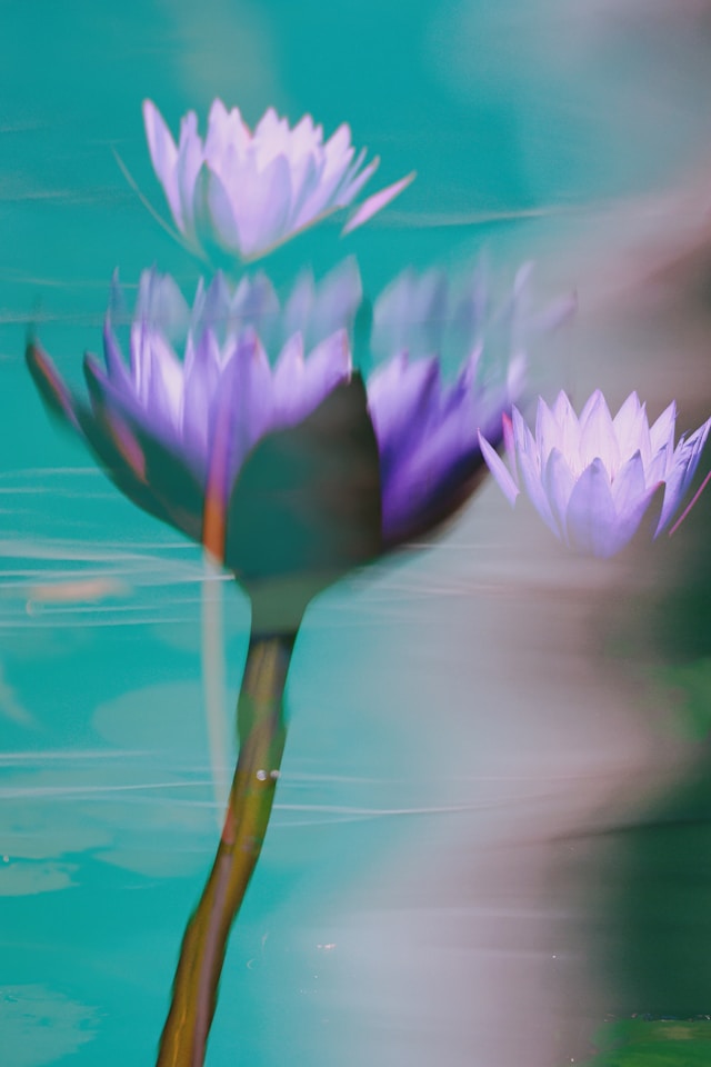 Why an IP audit can help you save money