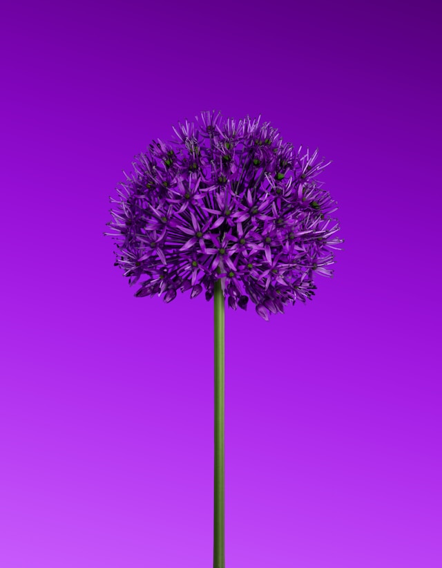 When is renewing a trademark not worth it?