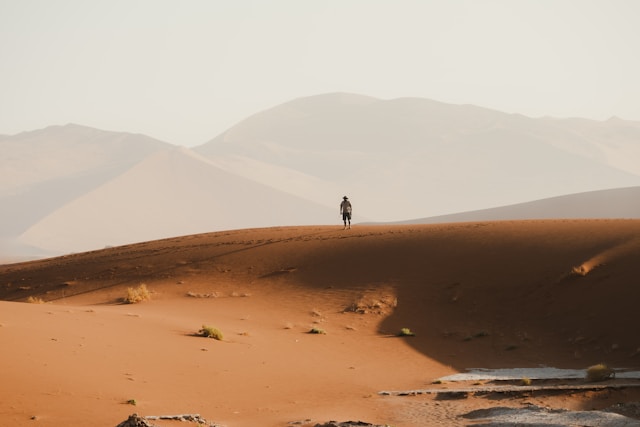 How to protect your brands from trademark infringement with Novagraaf’s recordals service